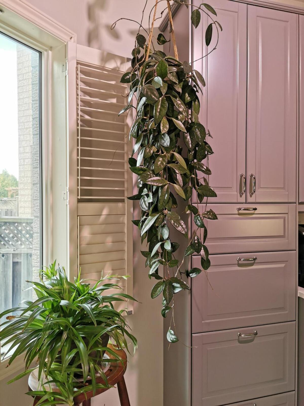 4 Bedroom 3 Washroom Charming Home In Markham With Warm Cozy Vibe Exterior foto